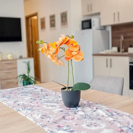 Arksis Apartamento